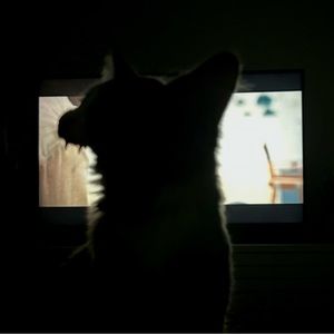 Meet your Posher, Evan